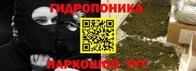 сатива Шебекино