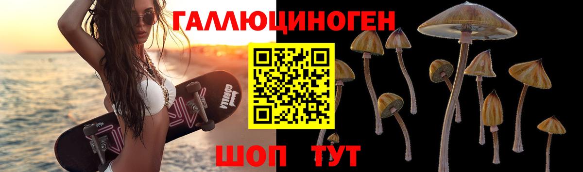 Галлюциногенные грибы ЛСД Большой Камень